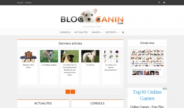 Blog canin, informations utiles sur les chiens