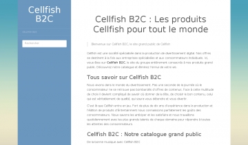Cellfish-b2c, votre société de production de divertissement digital 