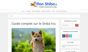 Le Shiba Inu, l'animal de compagnie idéal