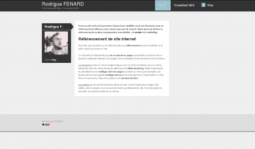 Rodrigue FENARD: votre consultant SEO professionnel