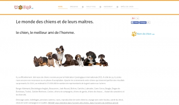 Wouaf, plateforme dédiée au monde des chiens et de leurs maîtres