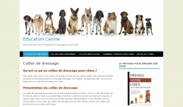 Collier de Dressage, guide web sur les meilleurs colliers de dressage 