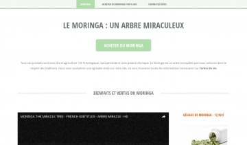 Le Moringa, guide pour tout savoir sur l'arbre de vie