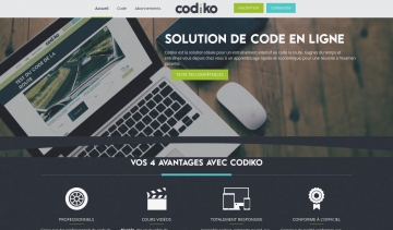 code en ligne