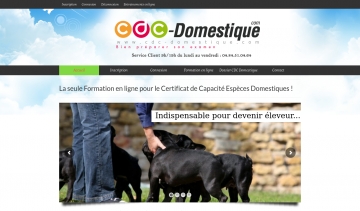 CDC Domestique, formation préparatoire pour le CAPA