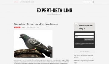 Expert Detailing, blog sur le detailing automobile