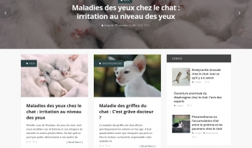 chat sante, informations sur la santé des chats et conseils d'entretien