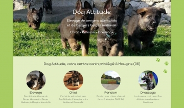 Dog Attitude : Centre des spécialistes d’élevage des chiens à Mougins