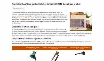 Aspirateur-souffleur.fr,  votre guide complet pour acheter un aspirateur souffleur