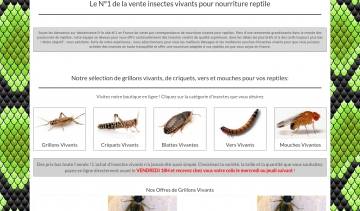 venteinsecte.fr : votre boutique en ligne d'insectes vivants pour reptiles