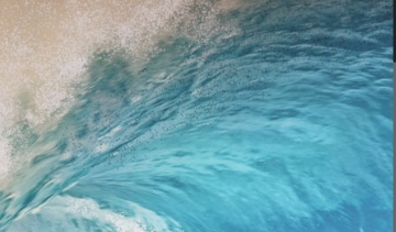 Océan Expérience, des camps de surf pour les séjours de vacances