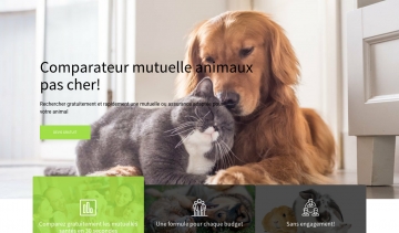 flairassur.com : choisissez la meilleure mutuelle pour vos animaux de compagnie