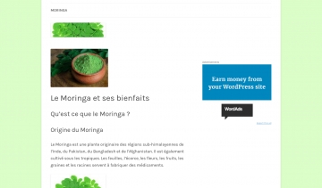 Guide complét sur le Moringa