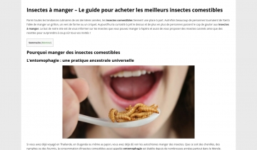 Insectes a manger, tout savoir sur la consommation des insectes