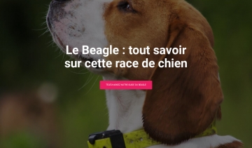 Mon Beagle, guide pratique sur le beagle