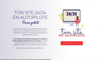 Shine On Web  : cours gratuit en ligne pour optimiser votre stratégie marketing