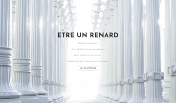 Etre un renard, guide pour devenir financièrement libre