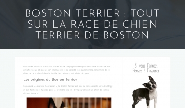 Boston Terrier, votre blog d’information sur le terrier de Boston