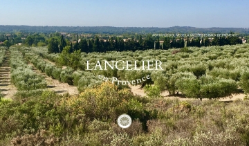 Lancelier en Provence