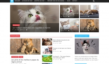 Chatteries de France : élevages félins et conseils pour chats et chatons 