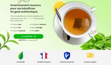 Thé Toujours: tout savoir sur le thé vert bio