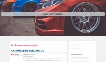 Carrossiers.net : les experts pour des voitures toujours reluisantes