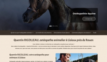 Osteo Equin Canin Ricolleau, ostéopathe animalier à Lisieux
