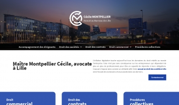 Cabinet-Montpellier, droit des sociétés à Lille