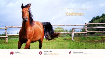 Codimex Horse, un accompagnement pour l’élevage des chevaux