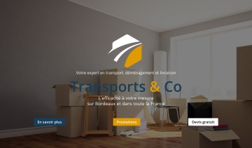 Transports-andco : le partenaire idéal pour vos déplacements 