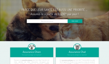 Assuropoil, bien assurer ses animaux de compagnie