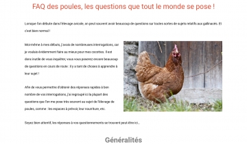 Tout Pour Ma Poule, foire aux questions sur les poules