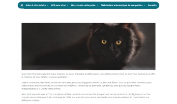 Le repaire du chat, comparatif des meilleurs accessoires pour les chats