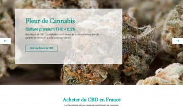 Flavour CBD, vente en ligne de cannabis légal en France