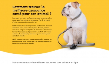 Comparateur Mutuelle Animaux, guide des meilleures assurances pour animaux de compagnie