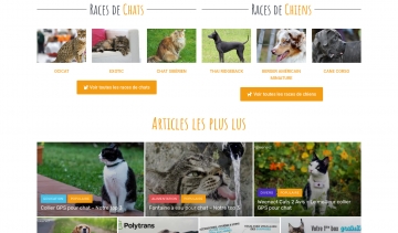 Adorablesbetes, guide web pour tout savoir sur vos chiens et chats