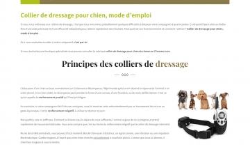 Collier de dressage : un guide d’achat et comparatif de prix 