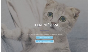 chat m'intéresse