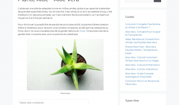 Tout savoir sur la plante aloe vera avec le site plantealoe.com