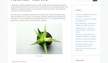 Tout savoir sur la plante aloe vera avec le site plantealoe.com