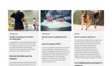 Frankie Web, votre blog d'informations