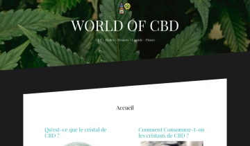 WORLD OF CBD : votre plateforme d’actualités sur le CBD