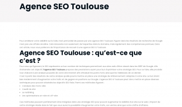 Vale Tudo, les maîtres du SEO à Toulouse 