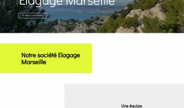 Élagage Marseille, la référence dans le domaine des arbres 