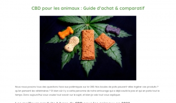 CBD pour les animaux : guide d’achat et comparatif