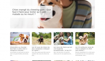 Toutoumag, le magazine des amoureux et propriétaires de chien