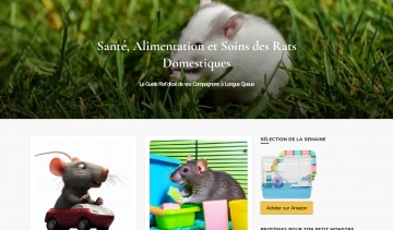 blog rat domestique