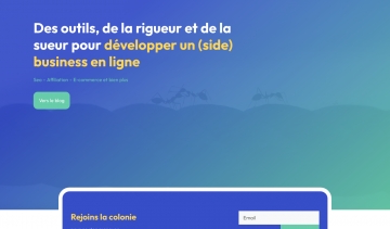 Fourmis du Web, blog sur le développement du business en ligne