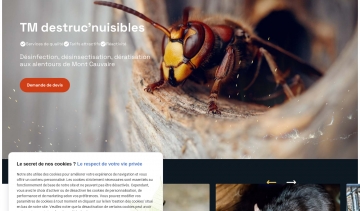TM Destruc’nuisibles, l'expert de la désinfestation en Seine-Maritime 