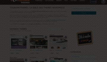 Le site Toorismothemes.com
